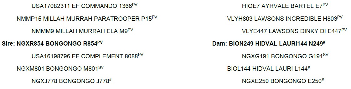 pedigree
